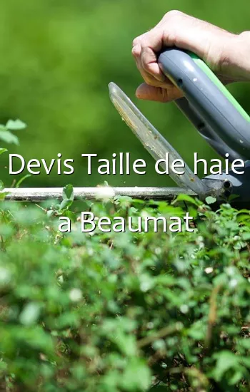 Devis Taille de haie a Beaumat