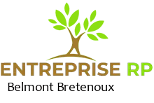 Entreprise RP