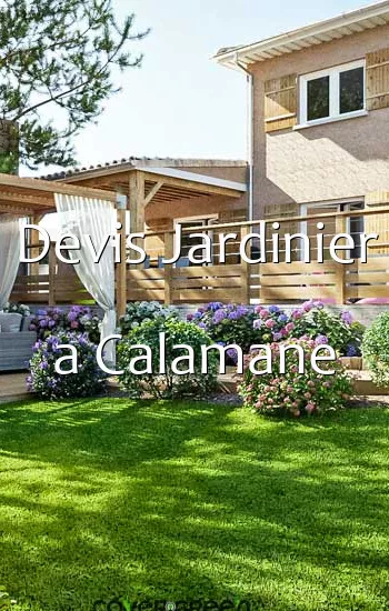 Devis Jardinier a Calamane