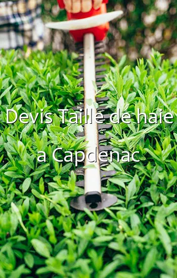 Devis Taille de haie a Capdenac