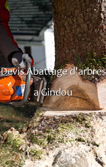 Devis Abattage d'arbres a Gindou