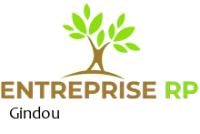Entreprise RP
