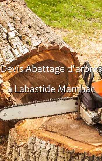Devis Abattage d'arbres a Labastide Marnhac