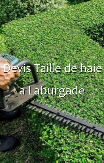 Devis Taille de haie a Laburgade