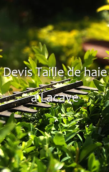 Devis Taille de haie a Lacave
