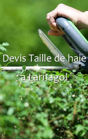 Devis Taille de haie a Larnagol