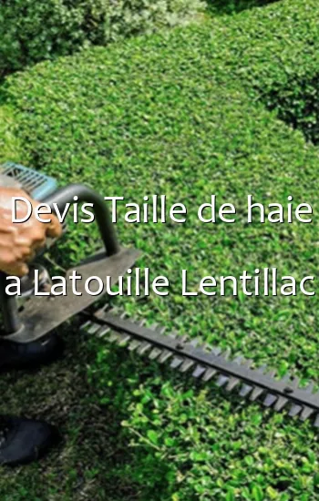 Devis Taille de haie a Latouille Lentillac