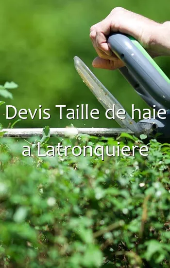 Devis Taille de haie a Latronquiere