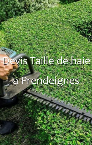 Devis Taille de haie a Prendeignes