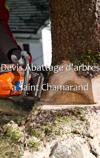 Devis Abattage d'arbres a Saint Chamarand