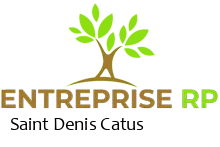Entreprise RP