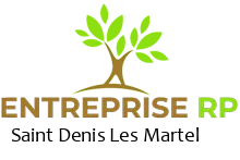 Entreprise RP