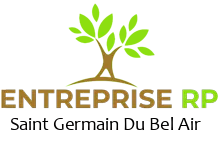 Entreprise RP