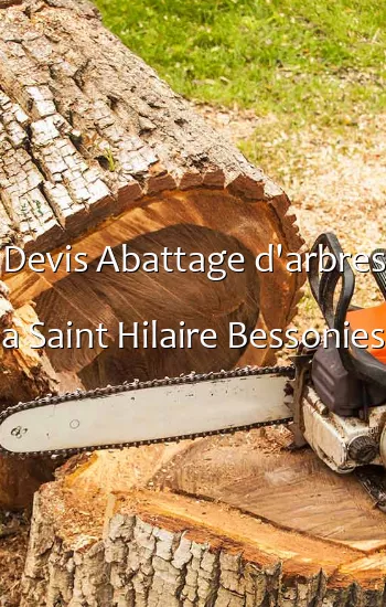 Devis Abattage d'arbres a Saint Hilaire Bessonies