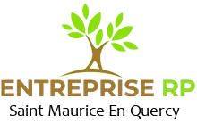 Entreprise RP