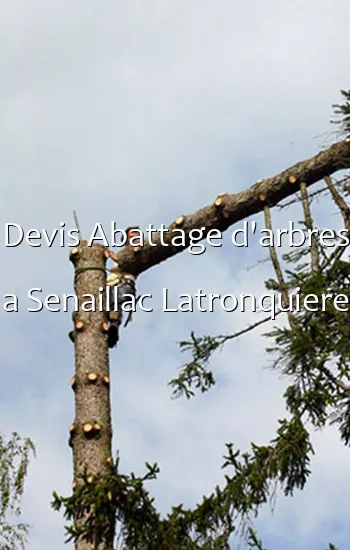 Devis Abattage d'arbres a Senaillac Latronquiere