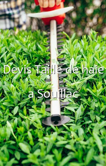 Devis Taille de haie a Souillac