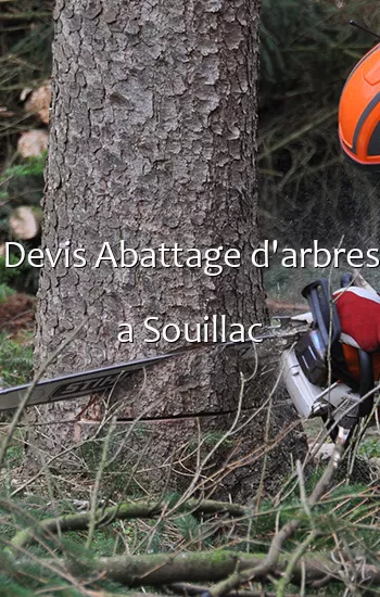Devis Abattage d'arbres a Souillac