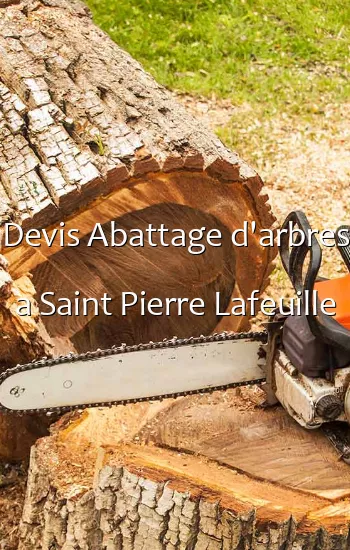 Devis Abattage d'arbres a Saint Pierre Lafeuille